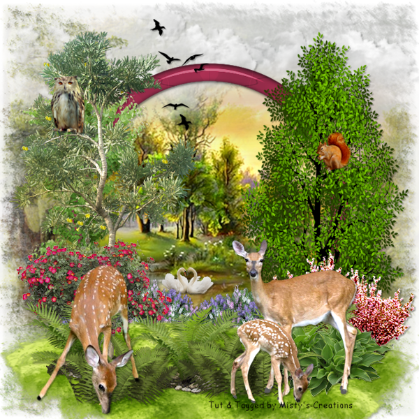 psp lessen mistys-creations.nl